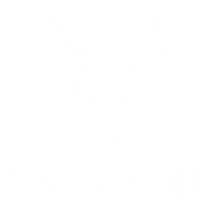 blackwolfdefense